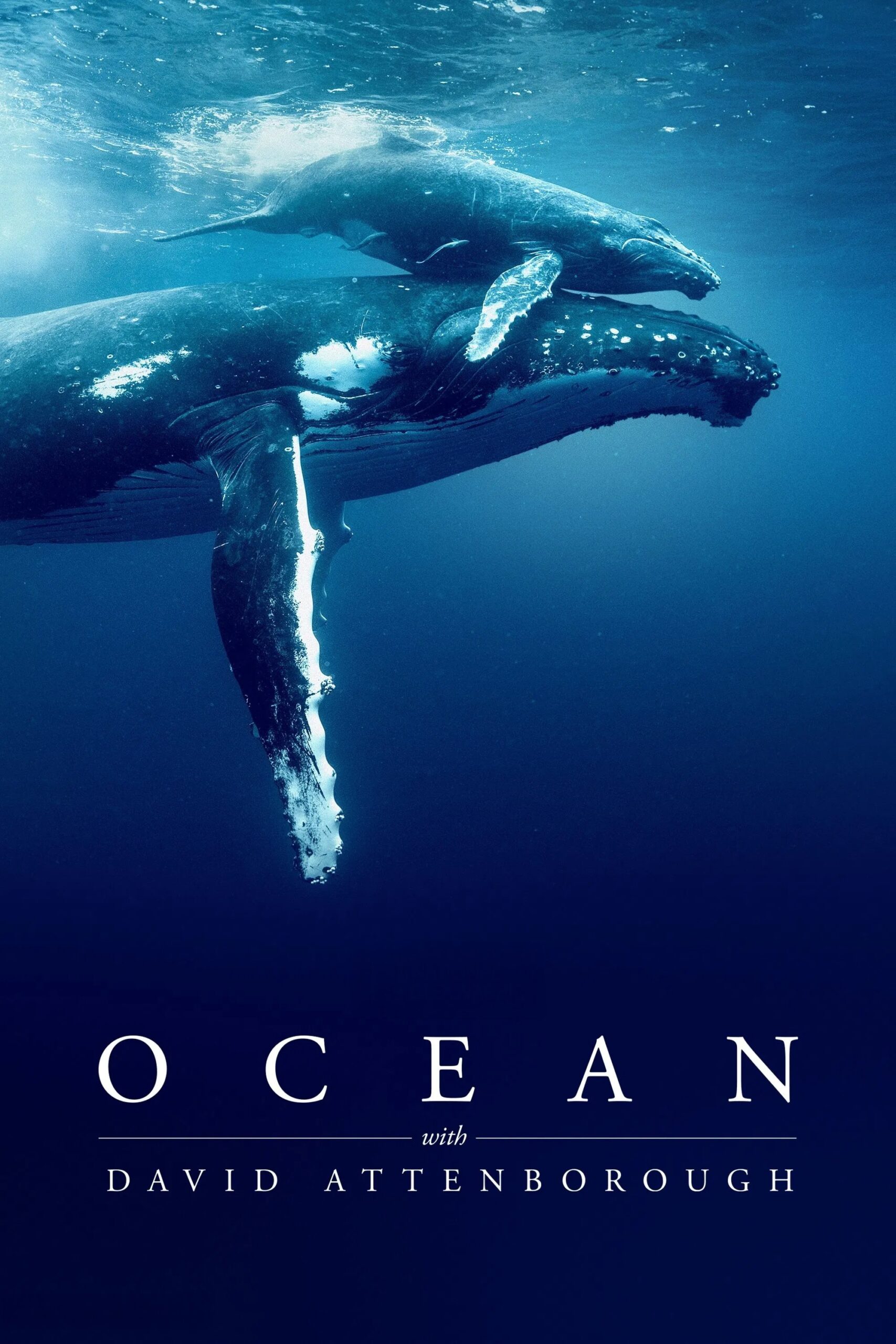 Ocean with David Attenborough Ocean with David Attenborough