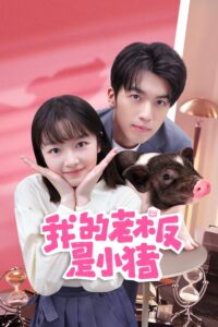 我的老板是小猪 我的老板是小猪 ซีซั่น 1 EP.1-12